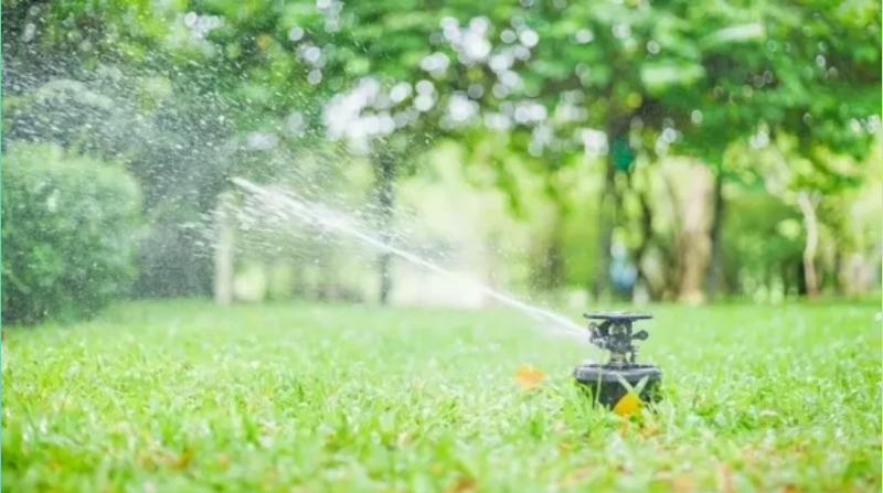 Tưới sân vườn tự động 